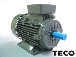 Motor Teco AEEV - Máy Bơm Tài Phước - Công Ty TNHH Thương Mại Dịch Vụ Kỹ Thuật Tài Phước